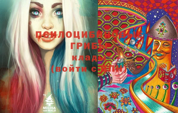 синтетический гашиш Алексин