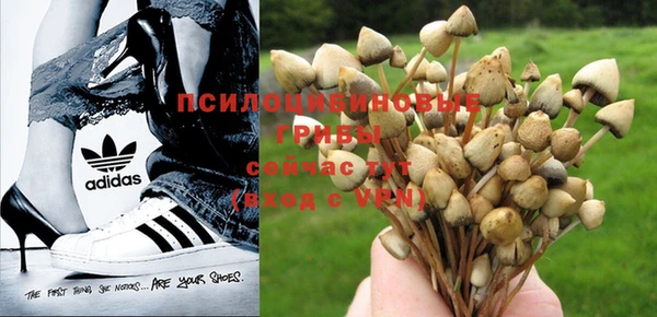 apvp Алексеевка