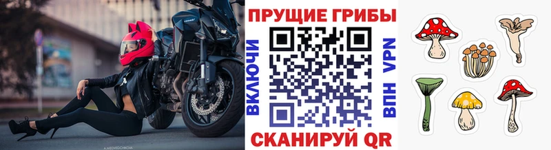 цена наркотик  Советская Гавань  Псилоцибиновые грибы ЛСД 
